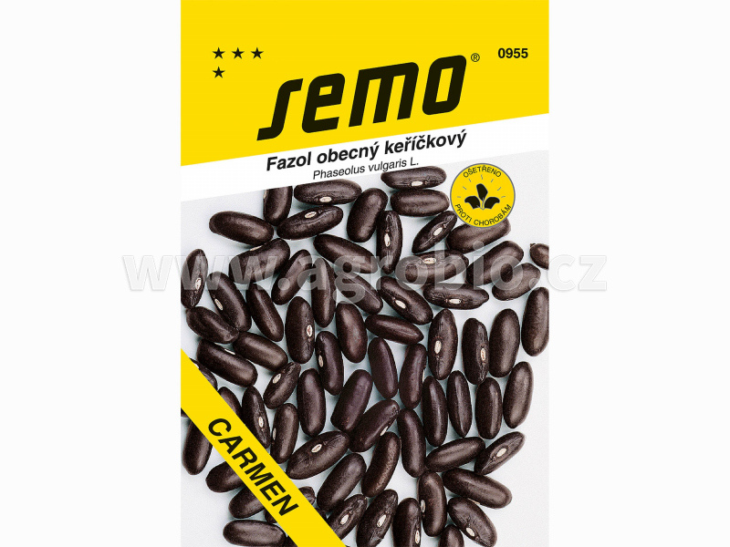 SEMO_0955_fazol keříčkový CARMEN