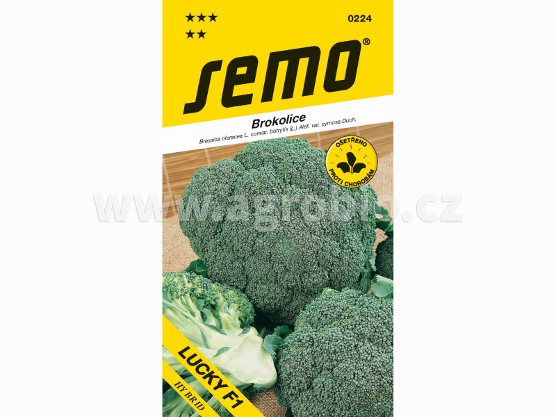 SEMO_0224_brokolice LUCKY F1