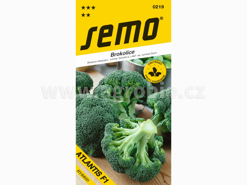SEMO_0219_brokolice ATLANTIS F1