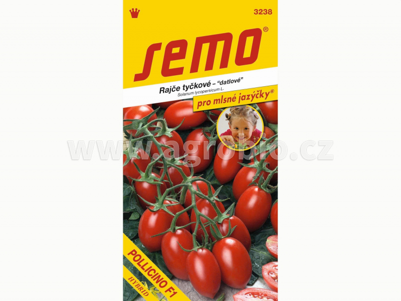SEMO_3238_rajče tyčkové POLLICINO F1_PRO MLSNE